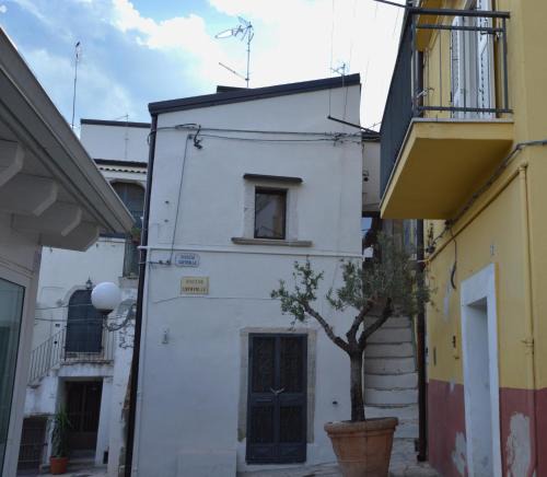 Venosa House | La Casa di Abramo