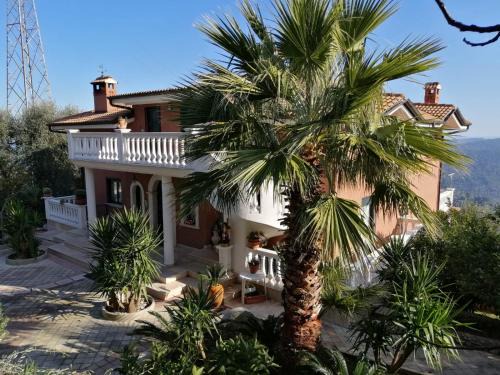 Vico del Gargano House | La casa di Antonella