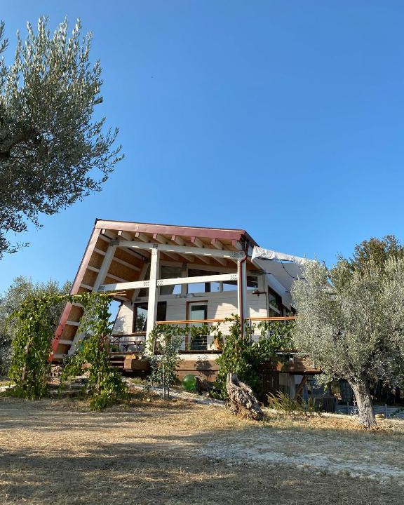 Pollutri House | La Casa tra gli Ulivi - Cottage in legno