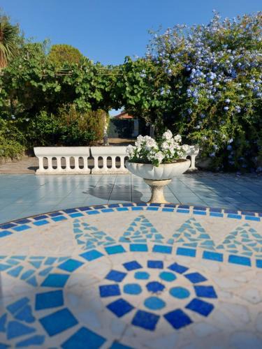 Scauri Apartment | La Marina Gardens Beach