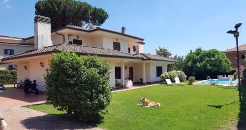 Grottaferrata Bed & Breakfast | La Pedica B&B
