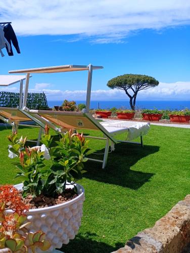 Piano di Sorrento House | La Pigna Sorrento