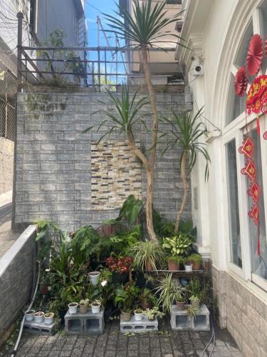Phuong Hotel | Lapis Lazuli Hotel Đà Lạt