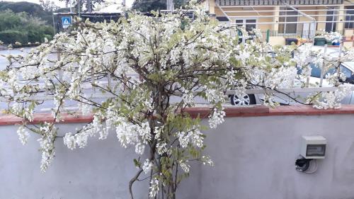 Latina Lido House | Le Bagnanti Di Miro'