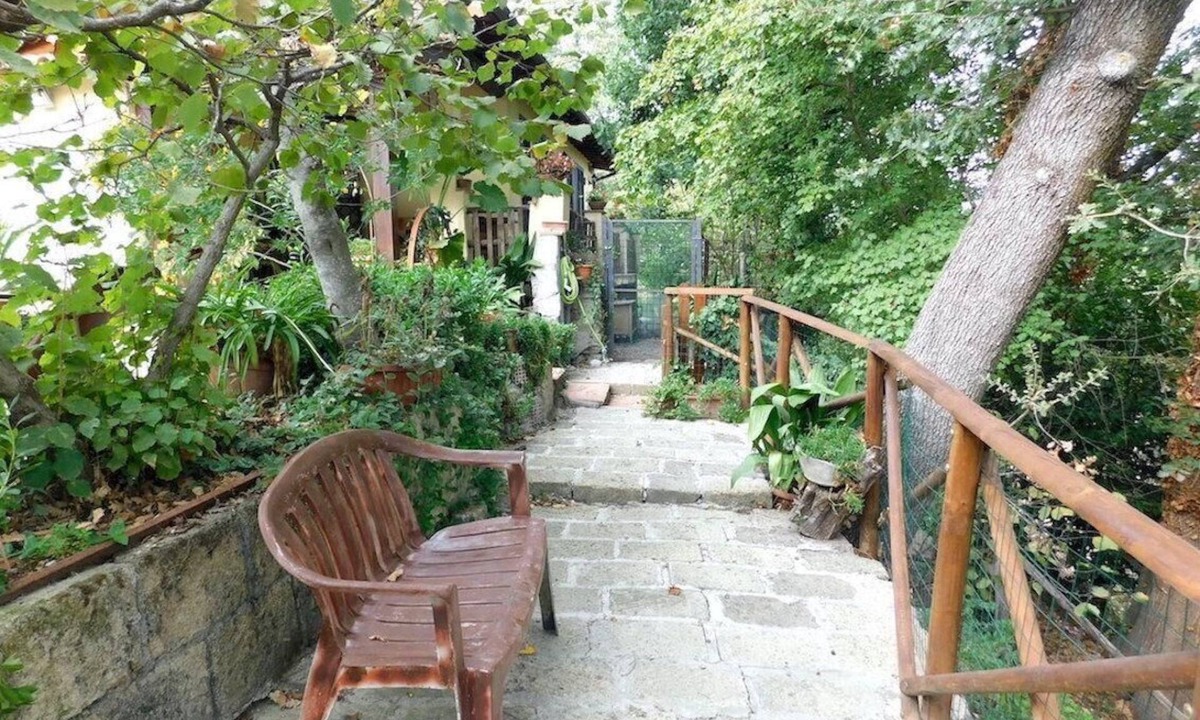 Zona XLV Castel di Guido House | Lets di Proietti' holiday home