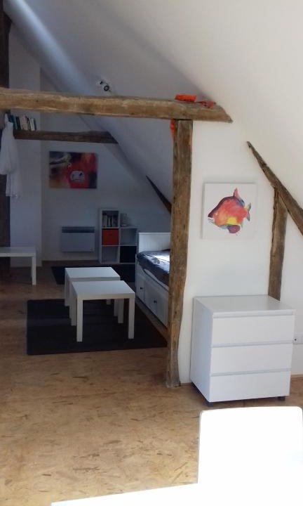 Malicorne-sur-Sarthe Apartment | Loft