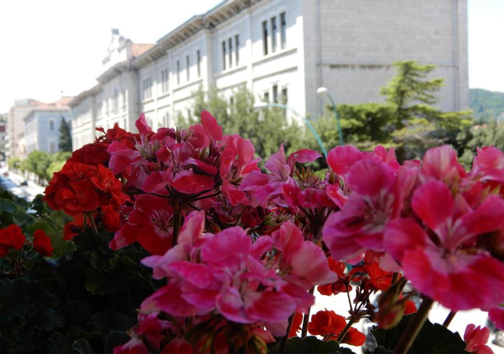 Murat Town Bed & Breakfast | Luciano And Son
