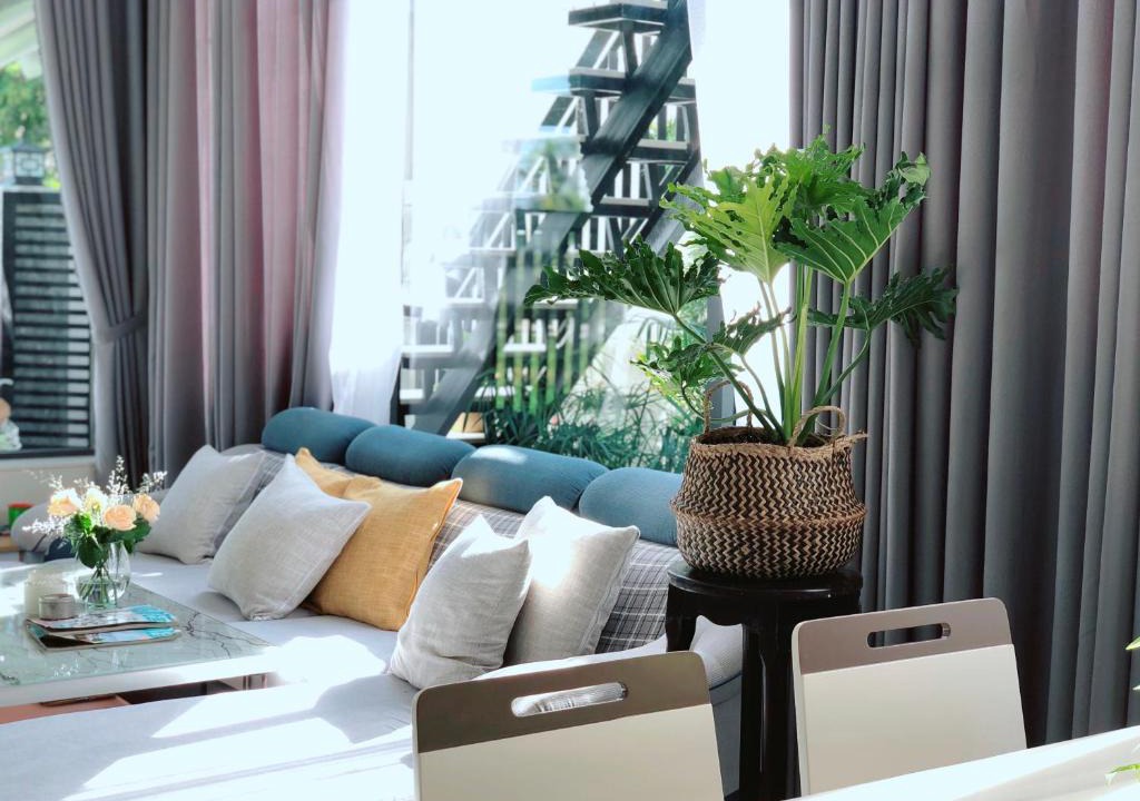 Hoi An City Centre House | Luu Gia Homestay Hoi An