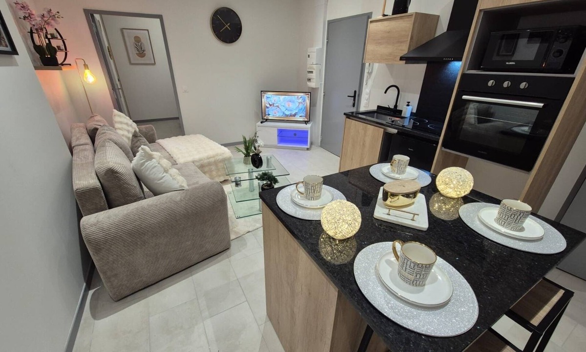 Limoges Apartment | Luxurious apartment 2 steps from the center