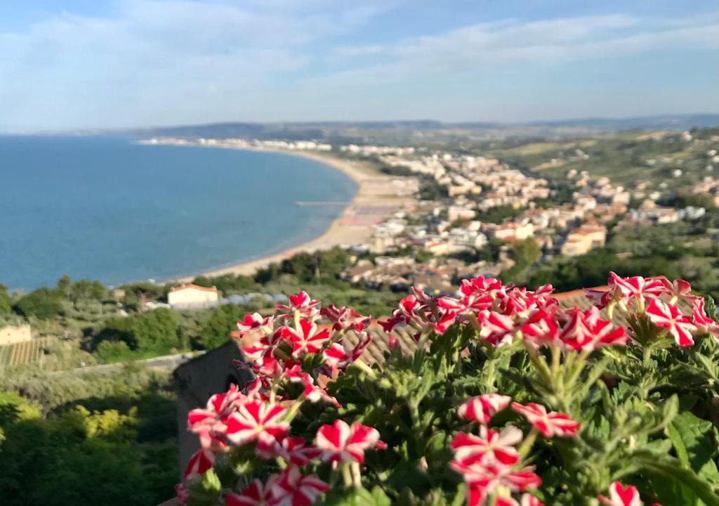 San Salvo Marina Apartment | MARE E BICI
