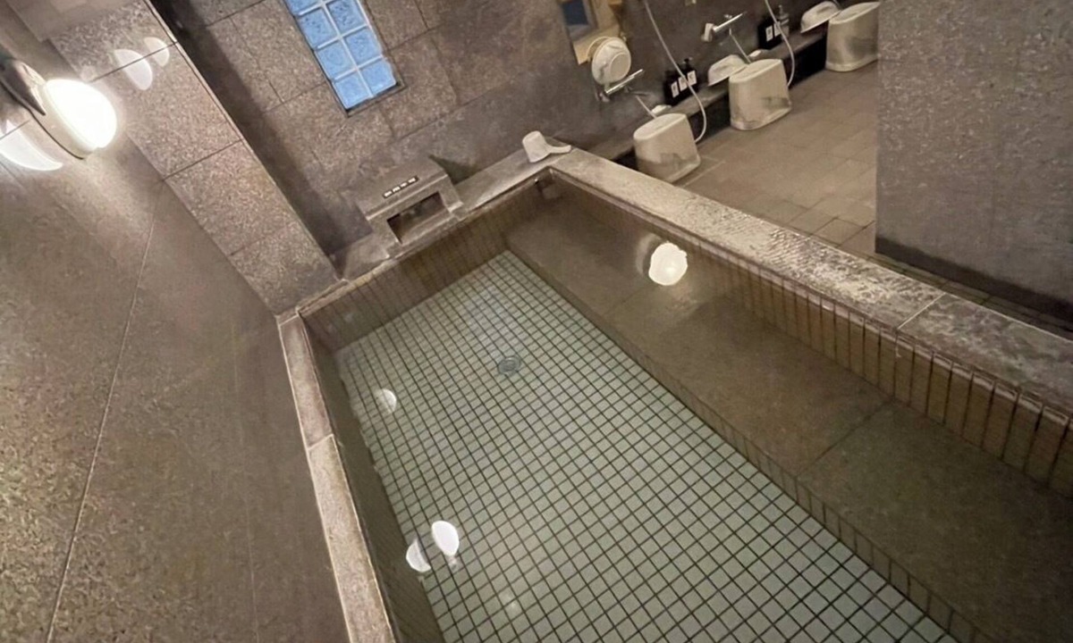 Mito Hotel | Mito Daiichi Hotel Honkan