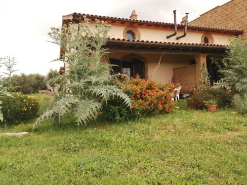 Canino Apartment | Namaste - Mare, Lago di Bolsena e Terme di Vulci
