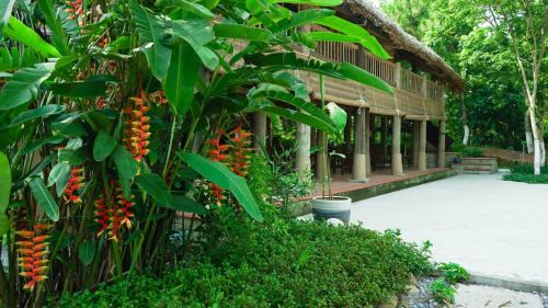 Soc Son House | Nhà Gò Gạo Homestay