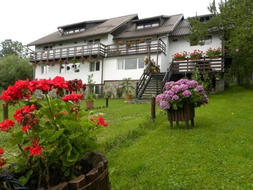 Bran House | Pensiunea Cerbul Carpatin