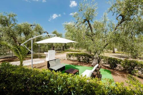Montincello Apartment | Peter's Home