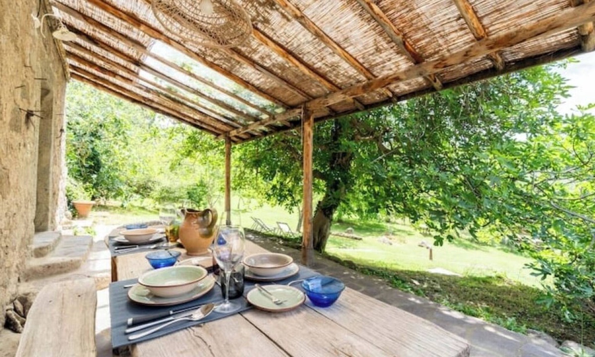 Seggiano House | Podere Tepolino: among olive trees, quiet and Monte Amiata