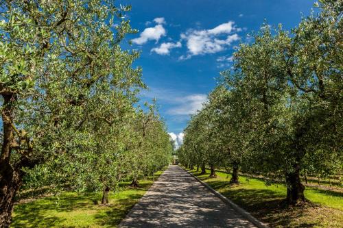 Bardolino House | Quercia Belvedere Relais