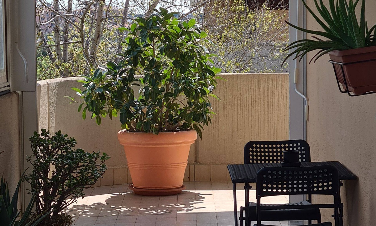 Rome Province Apartment | Rooms And Comfort Apartment
