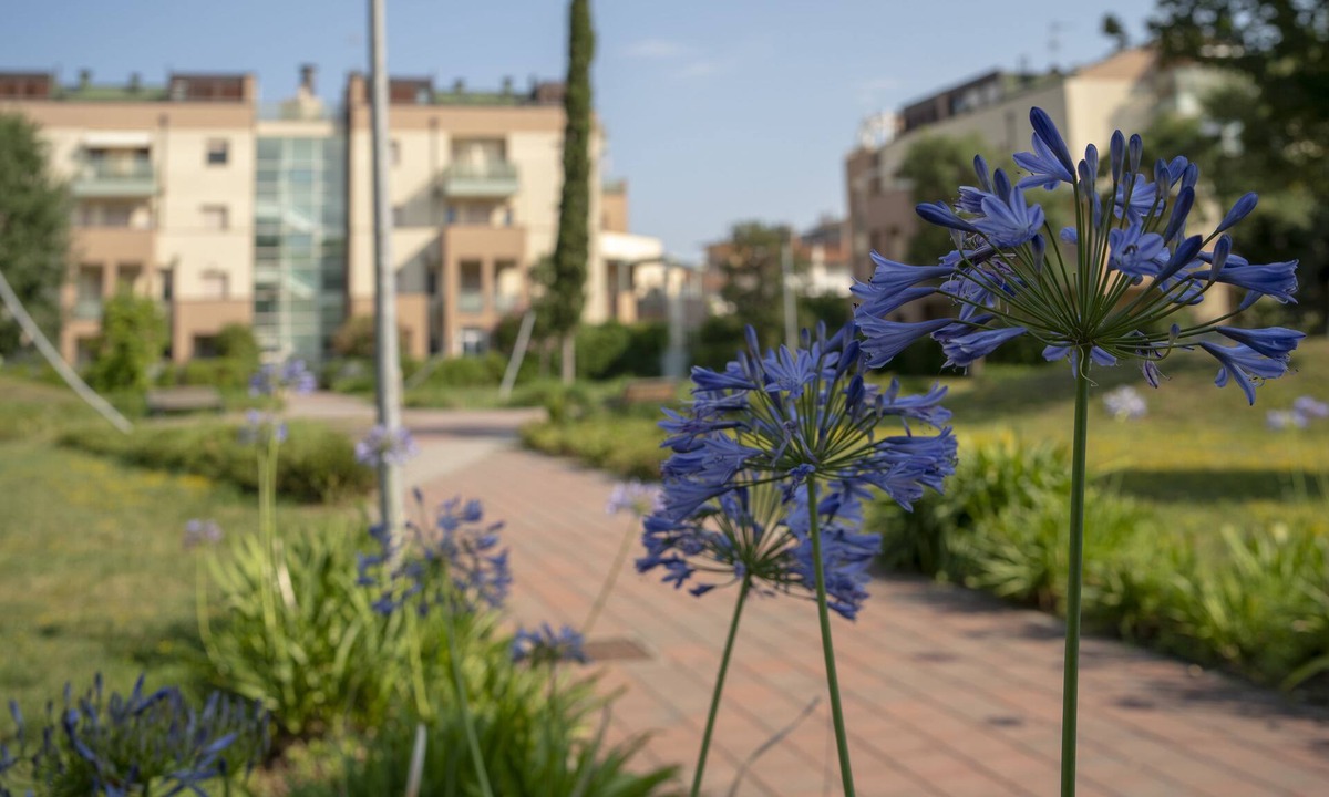 Marebello Apartment | Rosmini Serbati