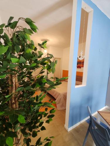 San Nicola Arcella Apartment | San Nicola Arcella House