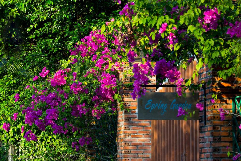 Ong Lang House | Spring Garden Homestay