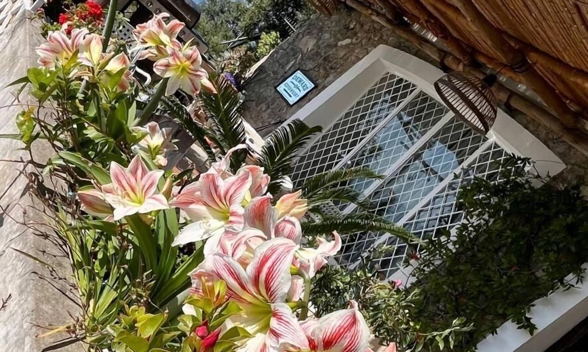San Cosma Villa | 🇮🇹 Starfish-House 🇮🇹 🍋Your house in Amalfi coast 🍋🌶️🍦👨‍🍳🦑🌊🍝🍕⛵️⛱🪂🍊🍉