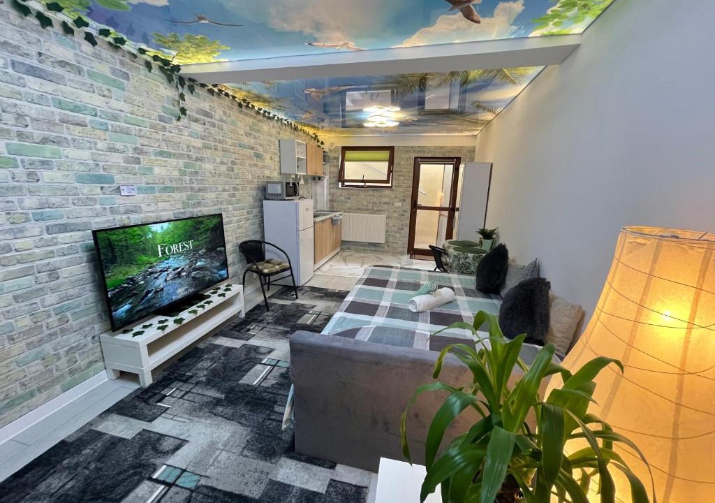 Cluj-Napoca Apartment | Studio Apartment in Panoramic House