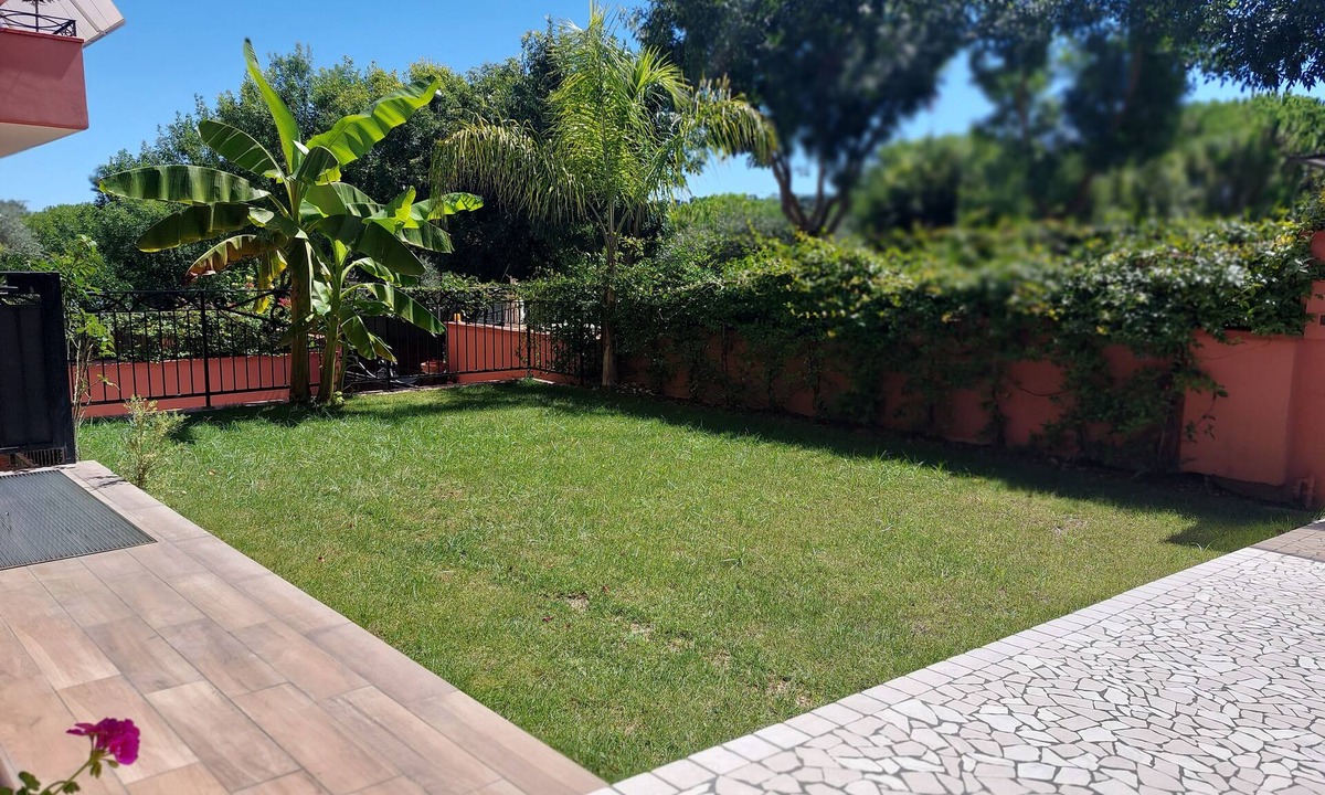 Francavilla al Mare Apartment | The house of olive trees