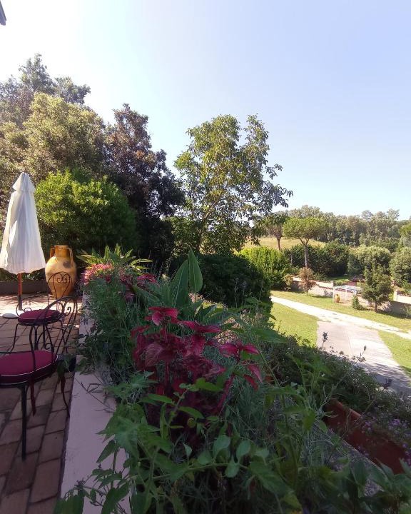 Cassia Villa | The Olive Grove Roma Guest House