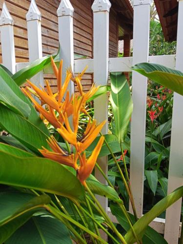 Ong Lang Hotel | Tim Hotel - Near The Sea