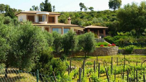 Itri House | Uva & Stelle Maison in collina di Sperlonga