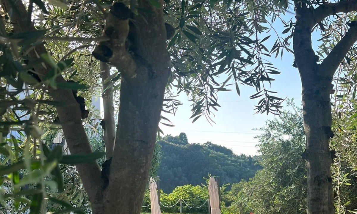 Vico del Gargano House | Verde Matematico