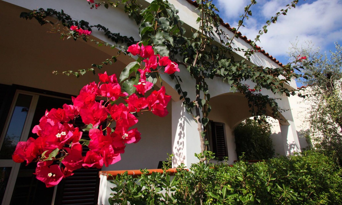 Mandrione House | Villa 5 places
