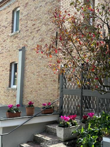 Mirabello Sannitico House | Villa Carolina