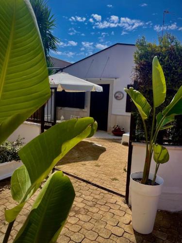 Palese Villa | Villa Labianca