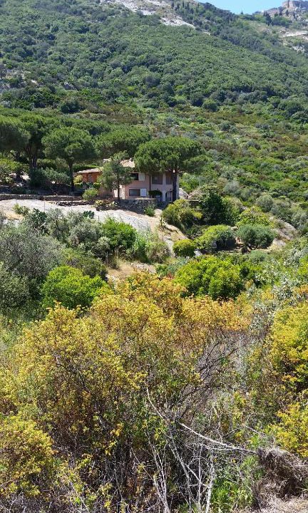 Arenella Villa | Villa Laura Aegilium