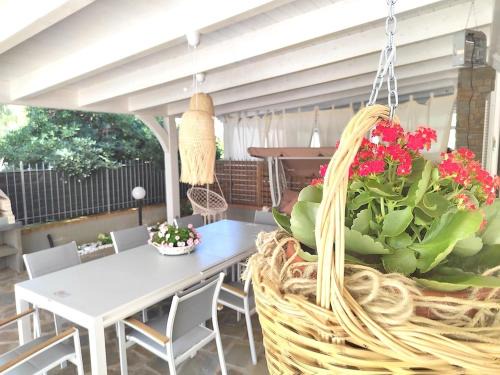 Marina di Casal Velino Villa | Villa Lettieri