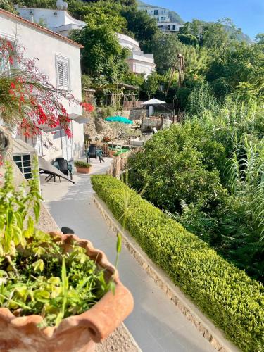 Casamicciola Terme Apartment | Villa Raffaela - Appartamenti Lacco Ameno