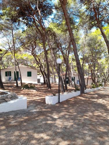 Tremiti Islands Resort | Villaggio Internazionale Punta del Diamante