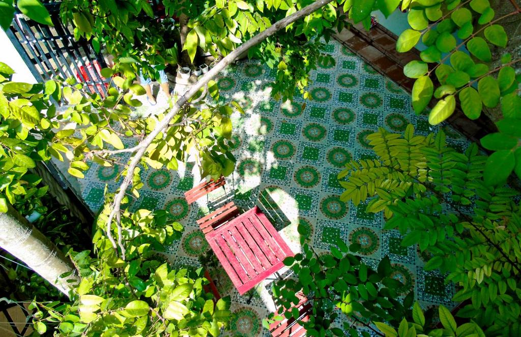 Hoi An House | Xanh Lá Homestay Hội An