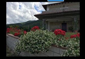 35 m² Apartment ∙ 1 bedroom ∙ 3 guests