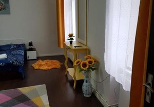 Apartament 12 Central