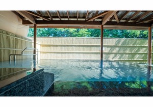 BIO-RESORT HOTEL & SPA O Park OGOSE