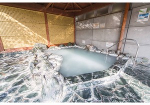 BIO-RESORT HOTEL & SPA O Park OGOSE