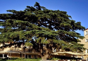 Relais Villa Buonanno
