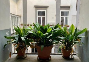 Un Posto Al Centro