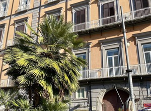 Napoli | Montecalvario
