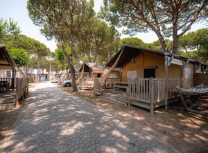 Cavallino | Cavallino-Treporti