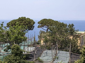 Villa Palme | Sant'Agnello