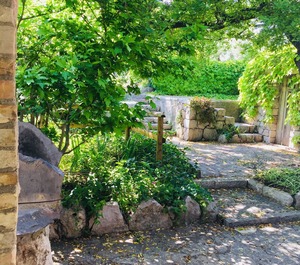 Casa Vacanze Fattoria Pozzitello 